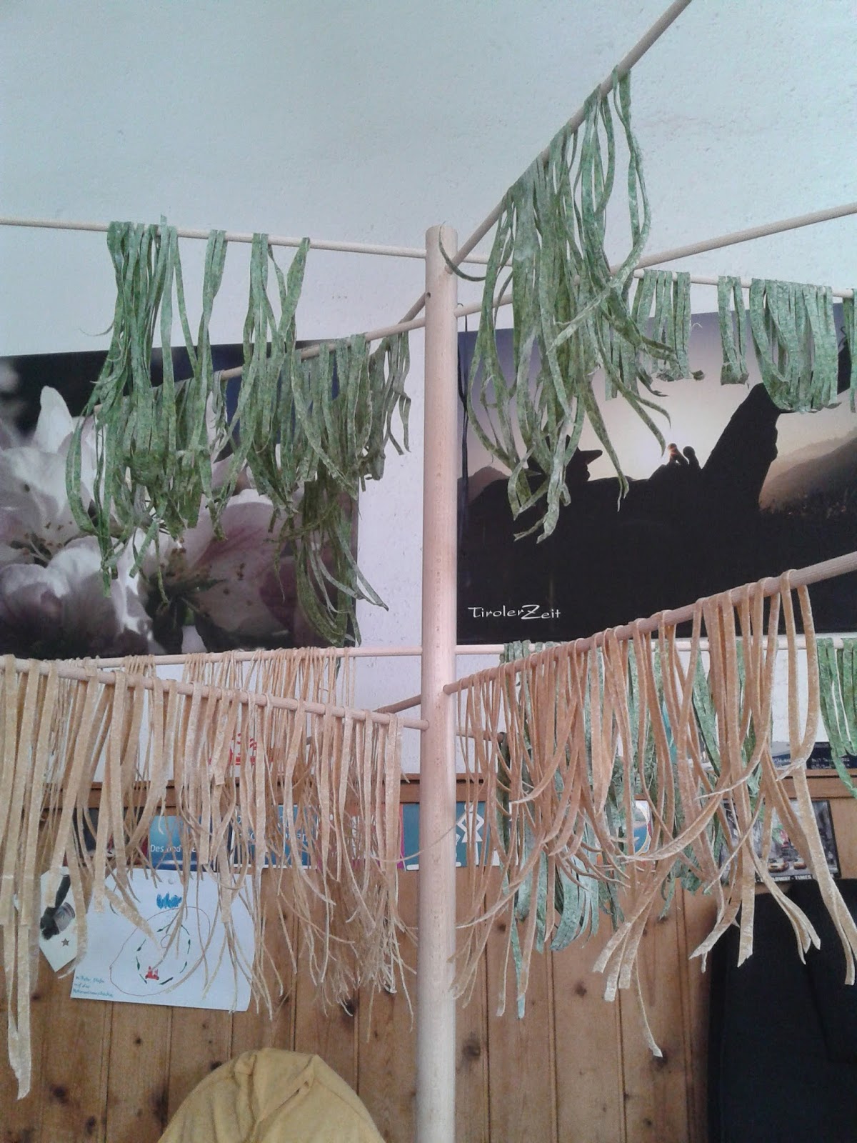 Nudelbaum | Kammis Blog