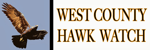 WCHW Logo