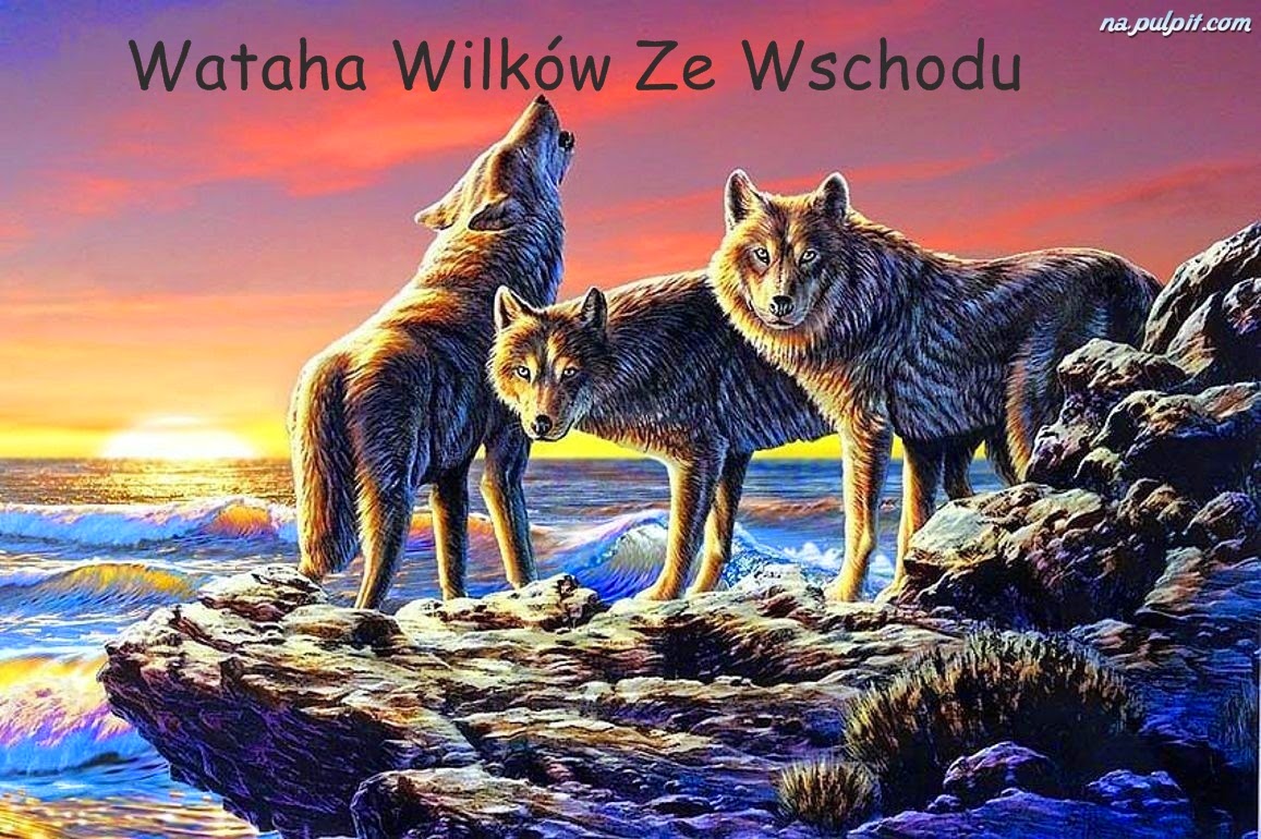Wataha wilków ze wschodu 
