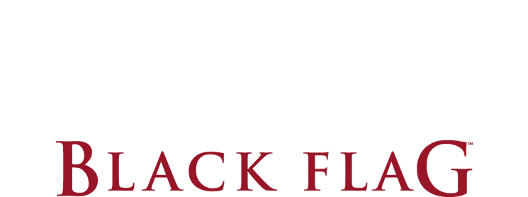 Assasin's Creed 4: Black Flag Beta