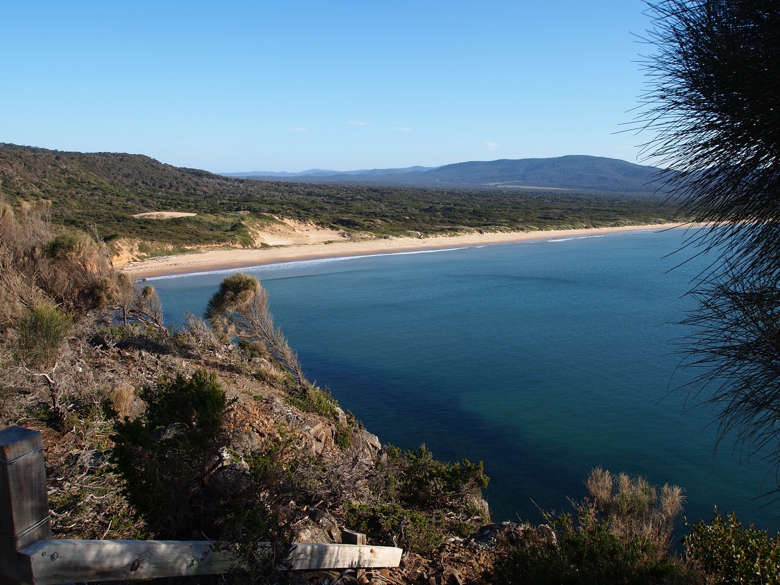 In an Opal Hearted Country Tasmania