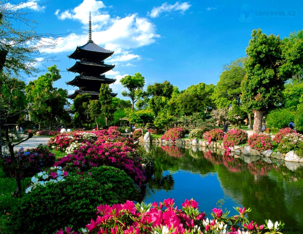 Asiantour Asiantour