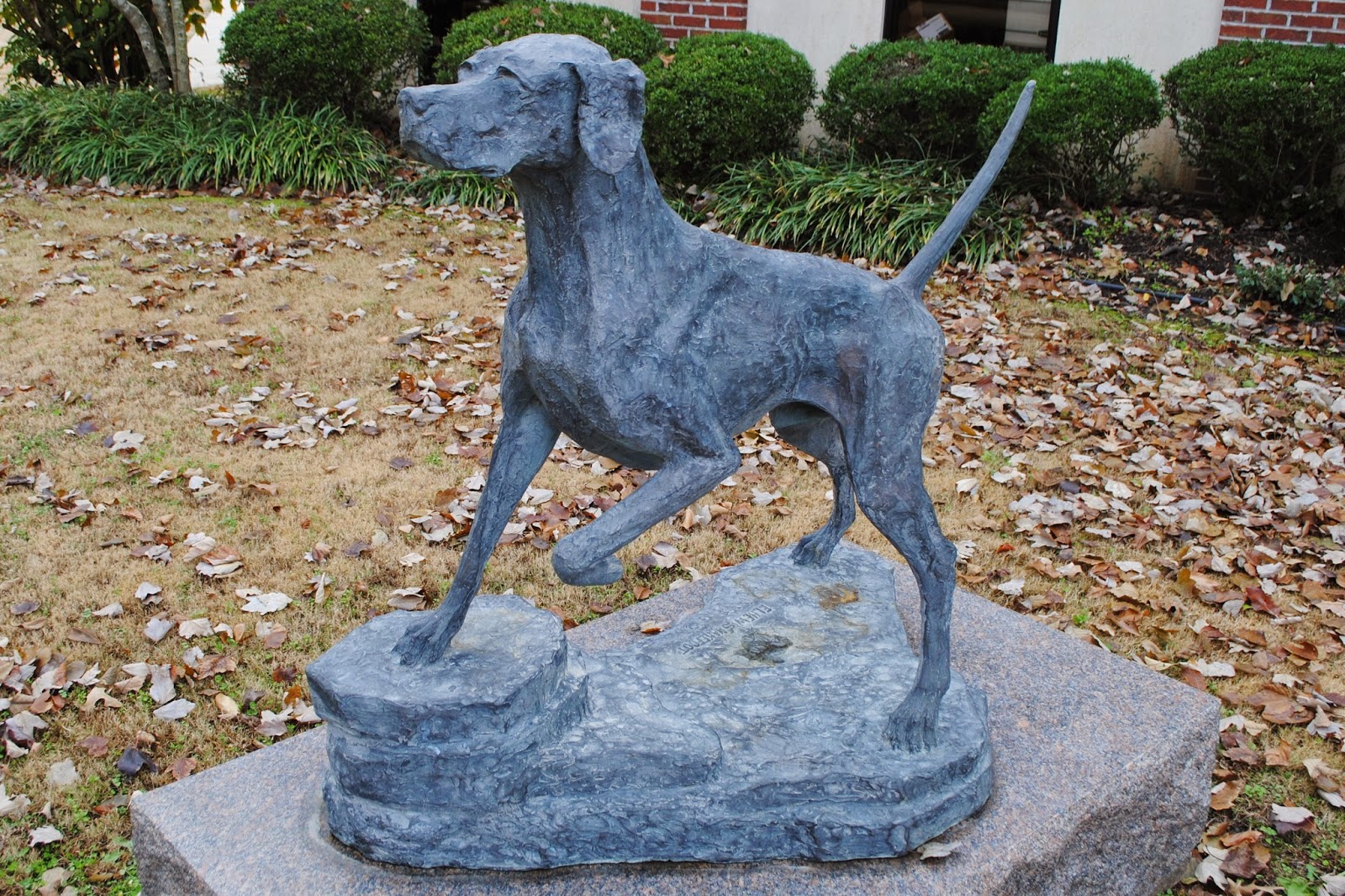 The Carpetbagger The National Bird Dog Museum