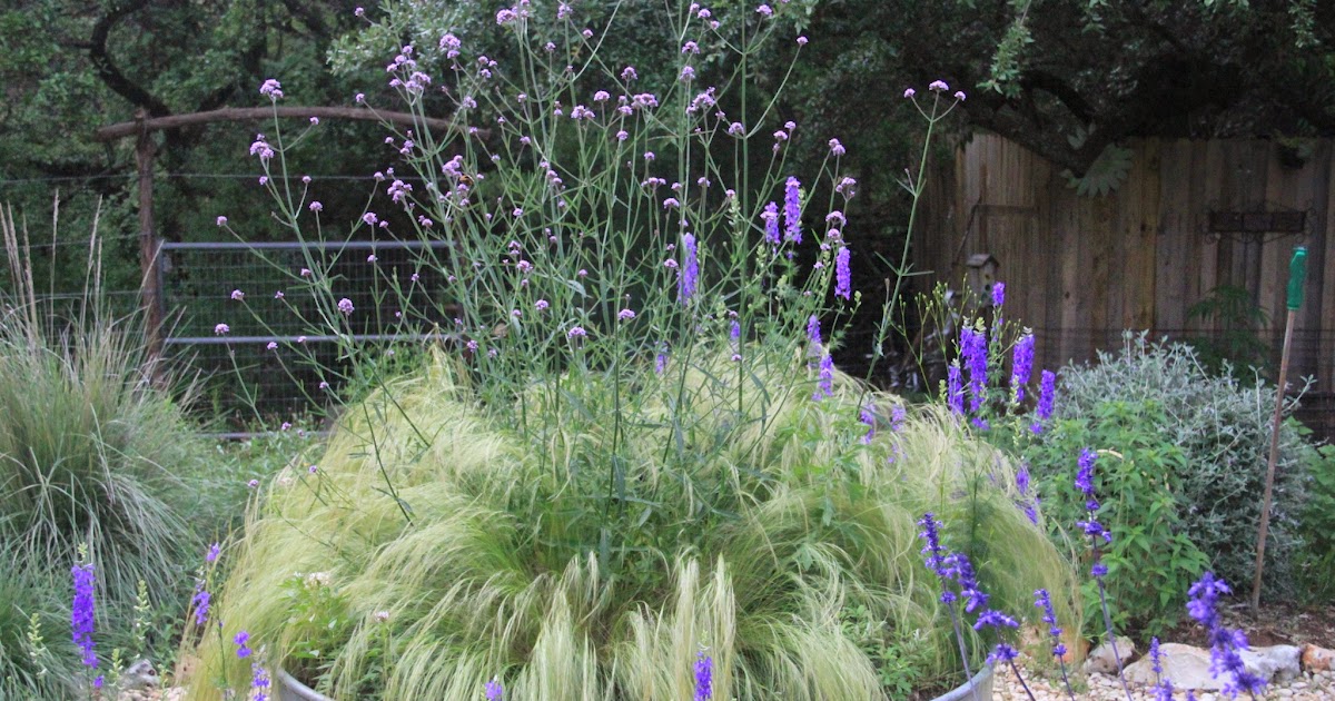 RockOakDeer As seen on Pinterest The Stock Tank Garden 2015