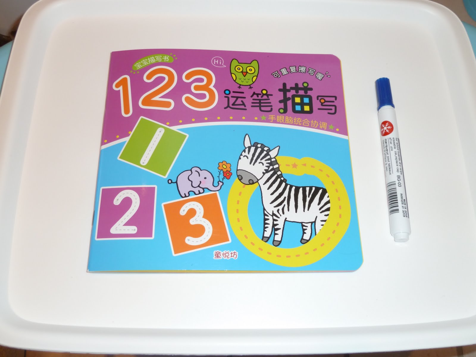 Family FECS Montessori Activity Practising Writing Numbers with Dry
