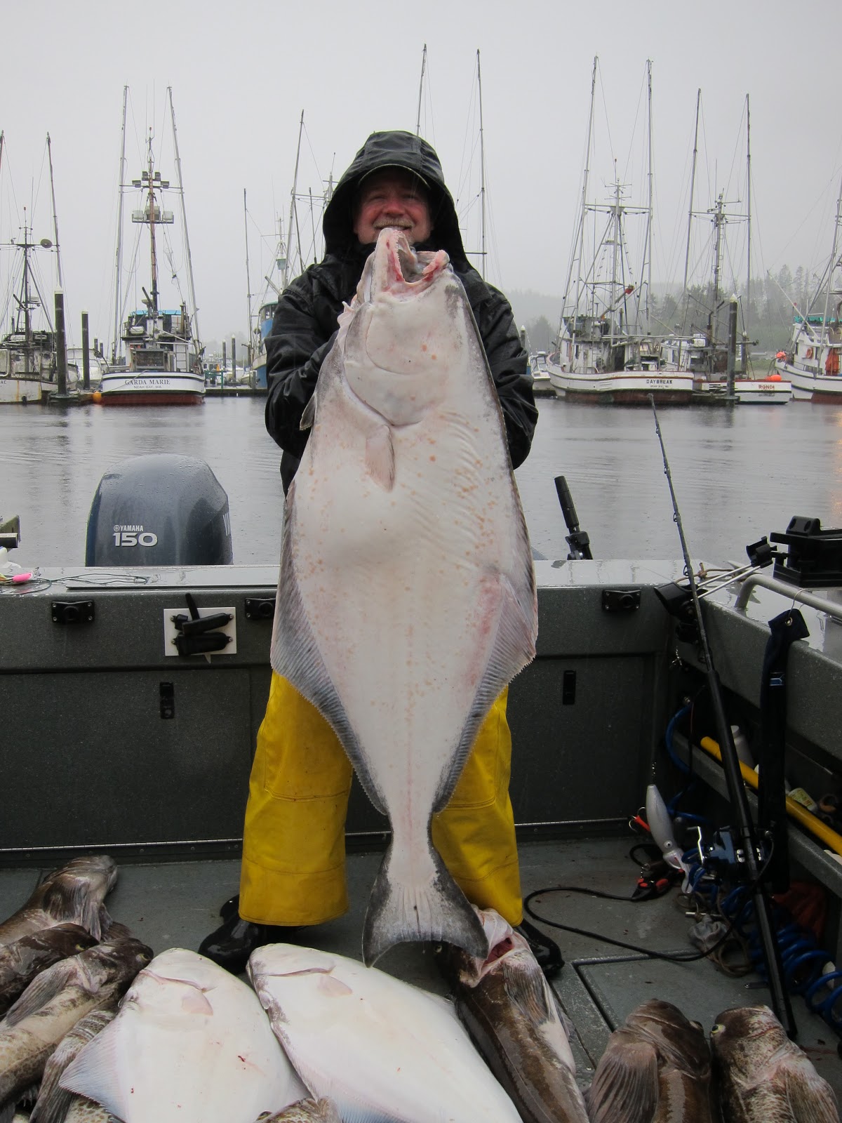 Todds Extreme Fishing Neah bay halibut & lingcod