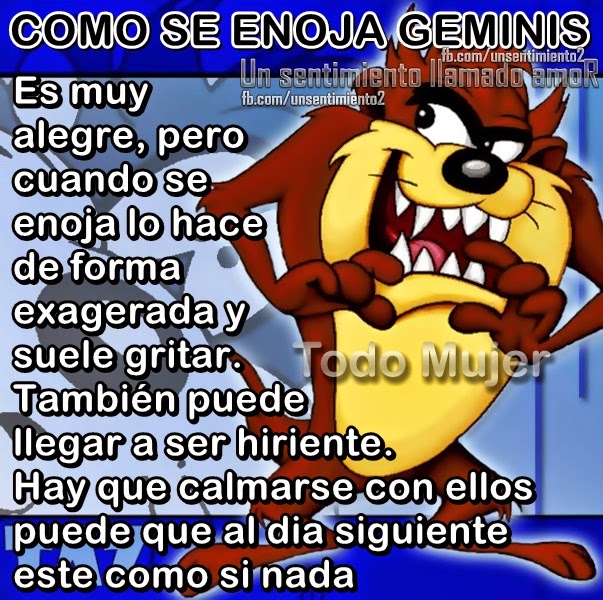 GEMINIS MUJER CAPRICORNIO geminis mujer capricornio: