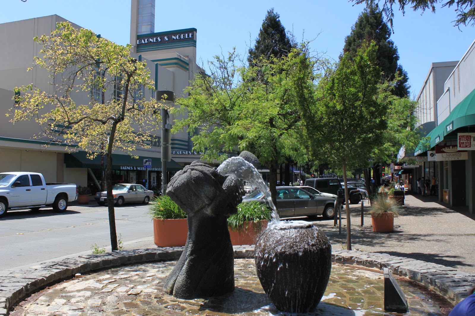 San Francisco Santa Rosa Weekend Jane Graybeal