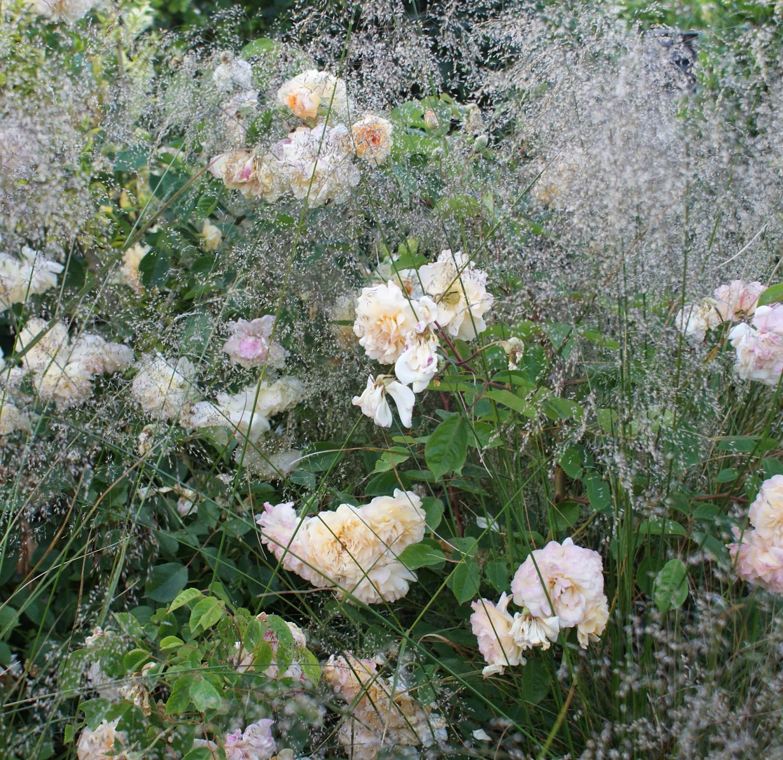 KJELD SLOT WHERE HAVE ALL THE ROSES GONE...?