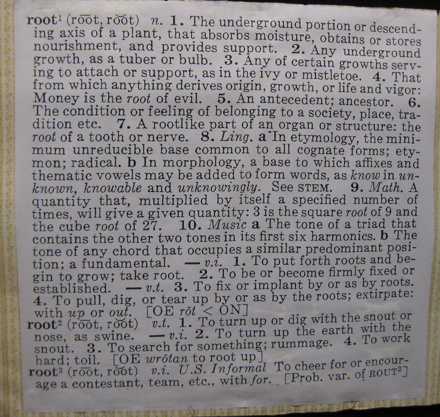 Introspection Definition