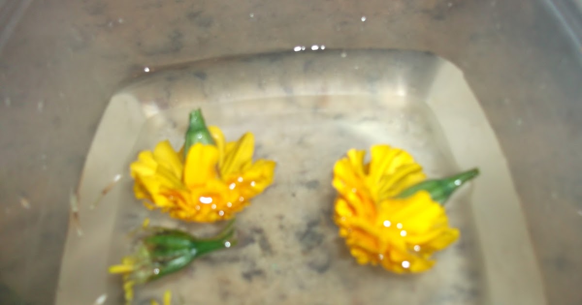 HCF Marigold Flower Juice UC recipe