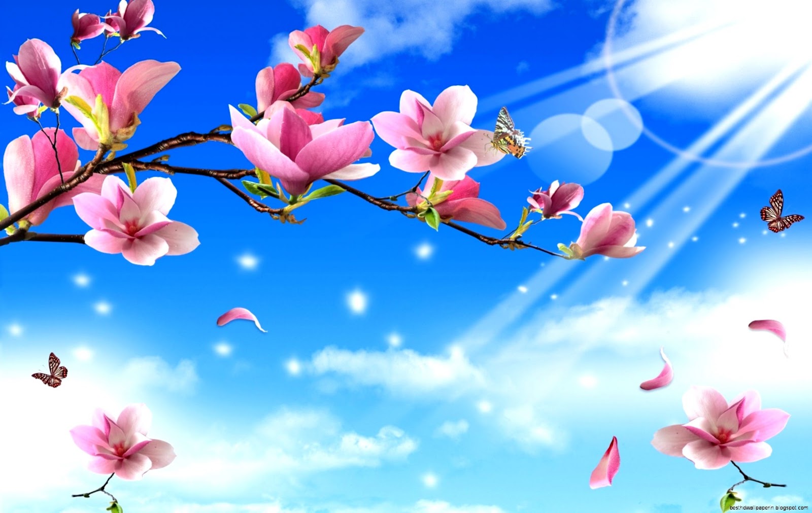 Spring Flowers and Butterfly Spring Flowers and Butterfly