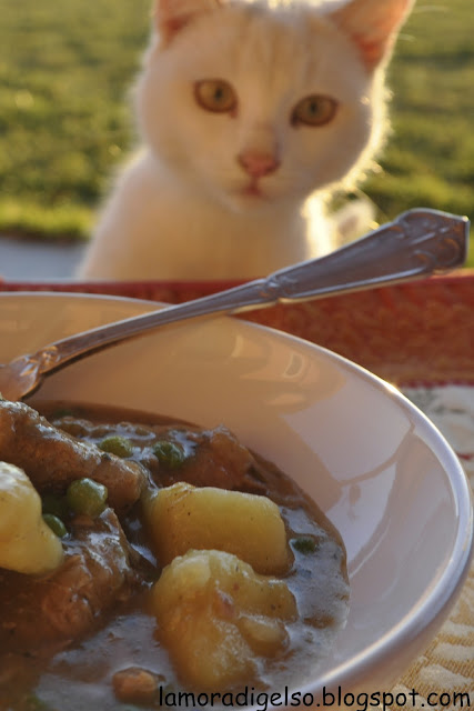 Spezzatino di carne con patate e piselli