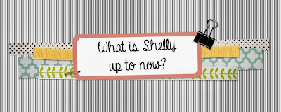 What is Shelly up to now?