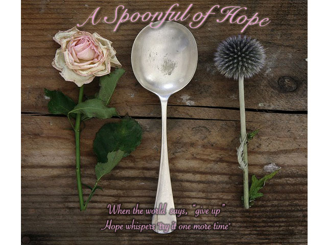 spoonful of hope