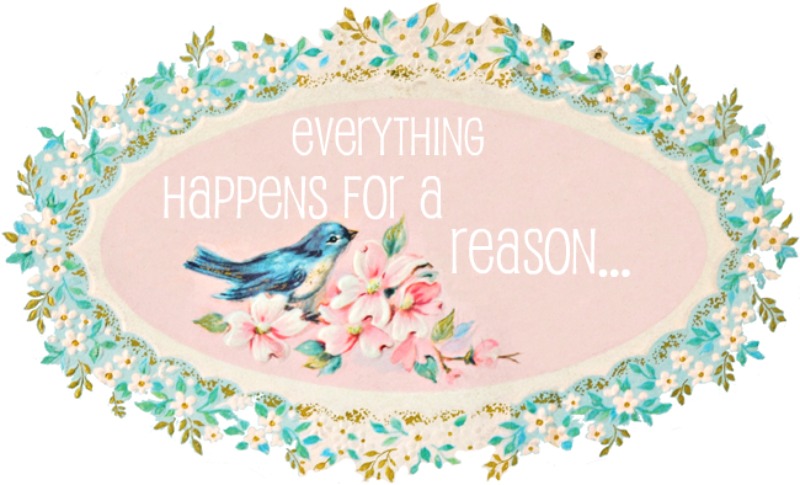 Everything Happens For a Reason...