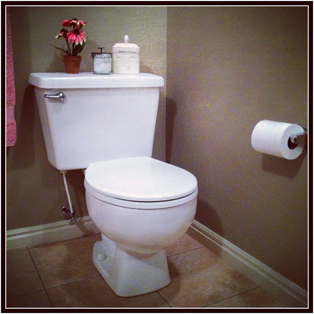 Scott Collins iPhoneography One of mankind's greatest inventions