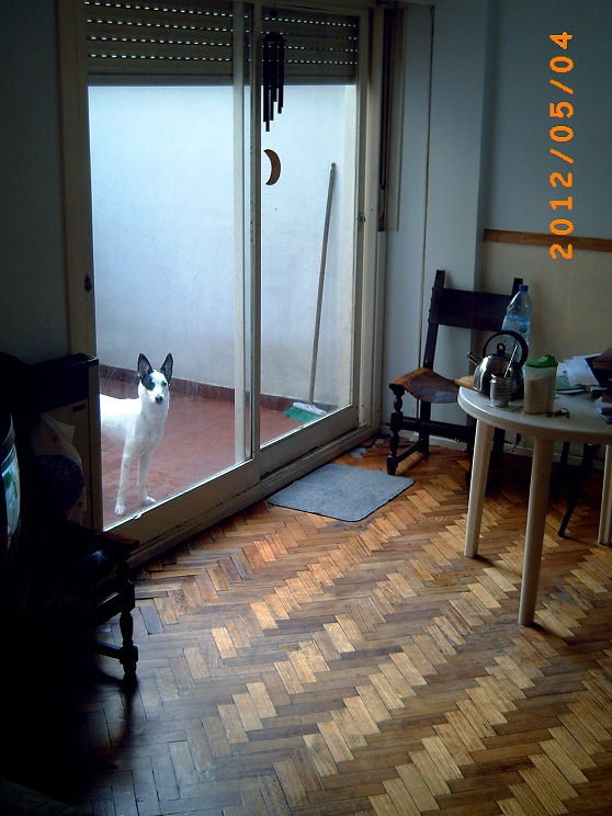 VENTA - PALERMO Excelente Depto 1 ambiente con Patio