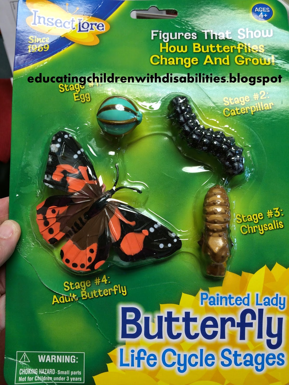 Educating children with disabilities Caterpillars growing.....books