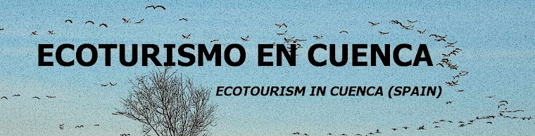 Ecoturismo en Cuenca - Ecotourism in Cuenca (Spain)