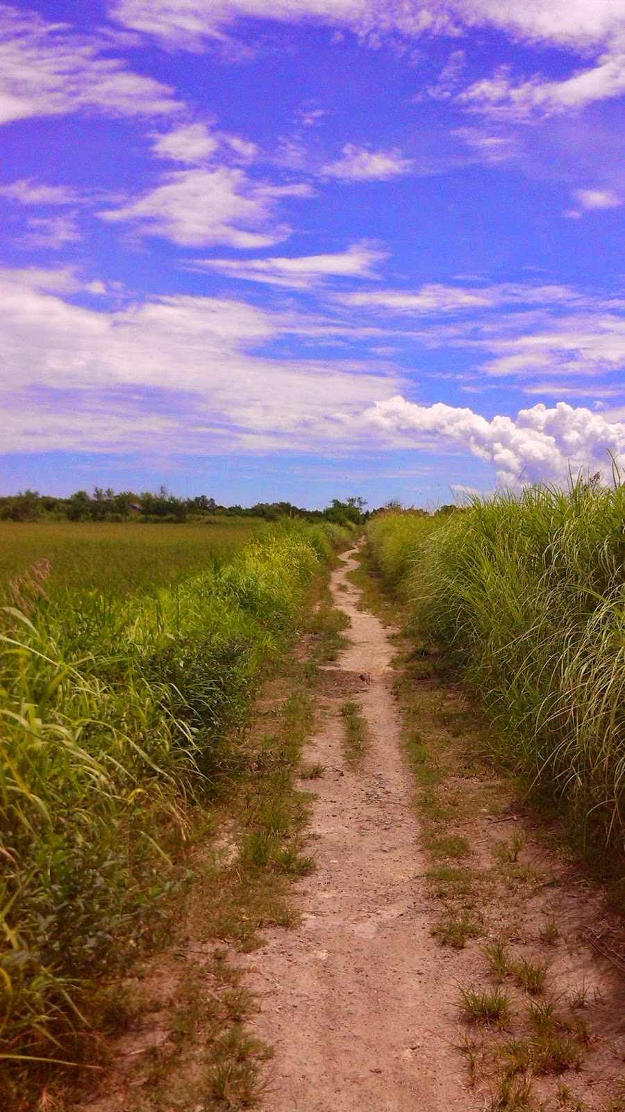 alwayschoosephilippines Cabusao Wetlands