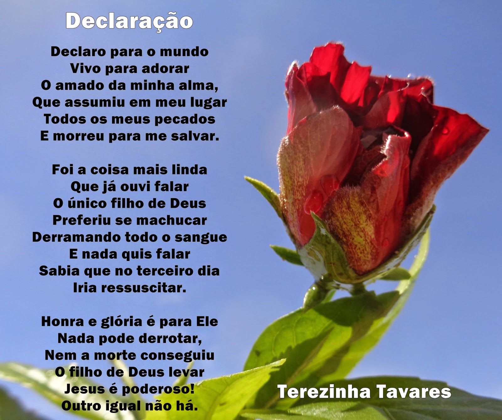 Terezinha Tavares: Poema: Declaração