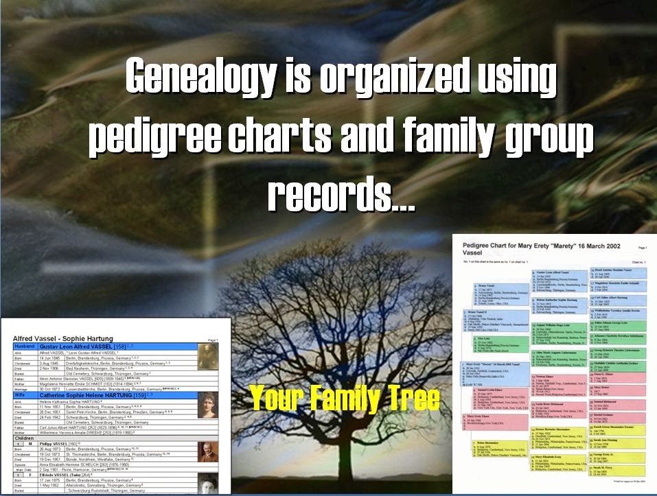 The FamilyRoots Organizer Color-Coding System: FAQ  Family genealogy, Family  tree genealogy, Genealogy chart