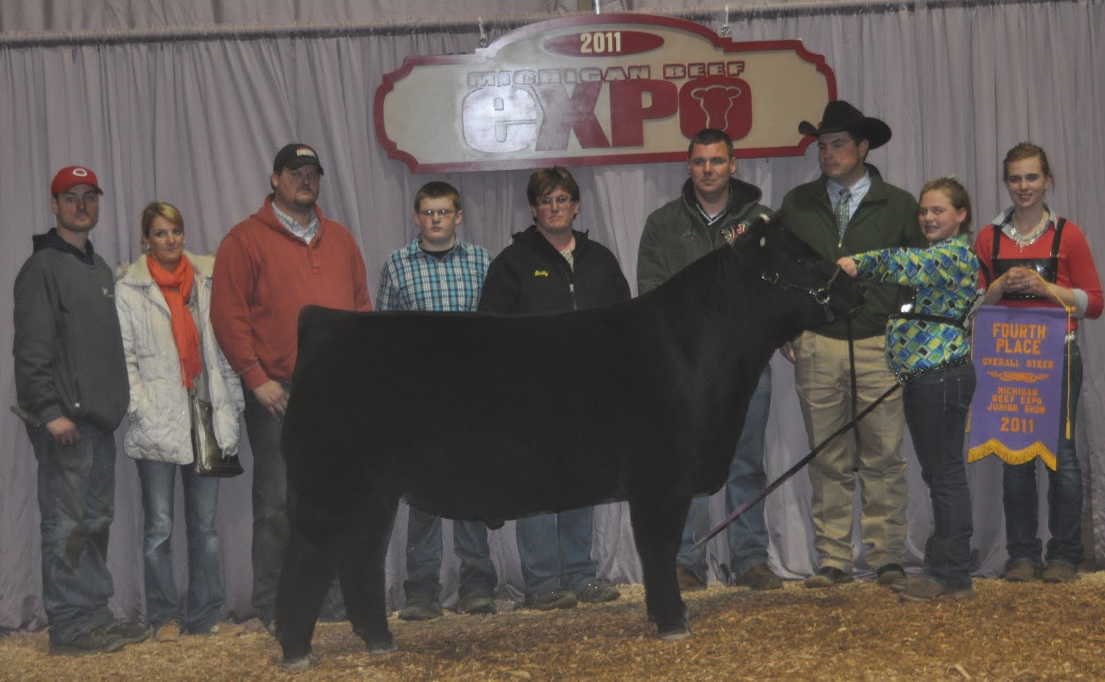 Michigan Beef Expo Steers Matt Lautner Cattle