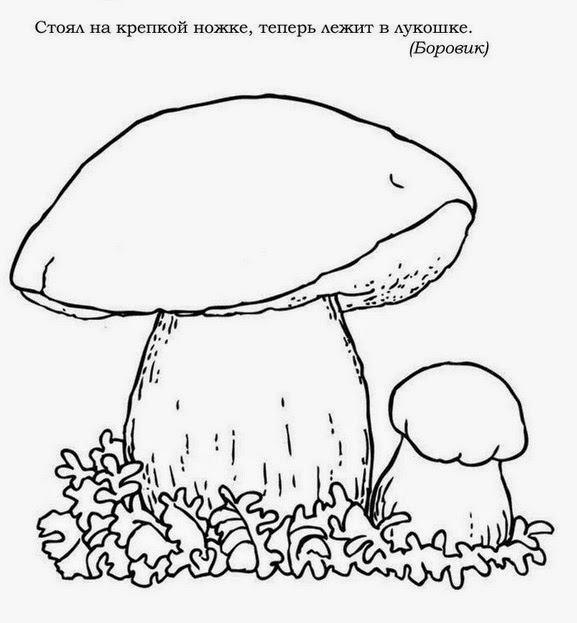 СЕКРЕТЫ ЭЛЕКТРОННЫХ СХЕМ Грибы Раскраски