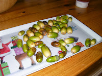 tray of acorns as collected by kid