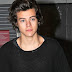 Harry Styles 'Thanks' NME For Villain Of The Year Award