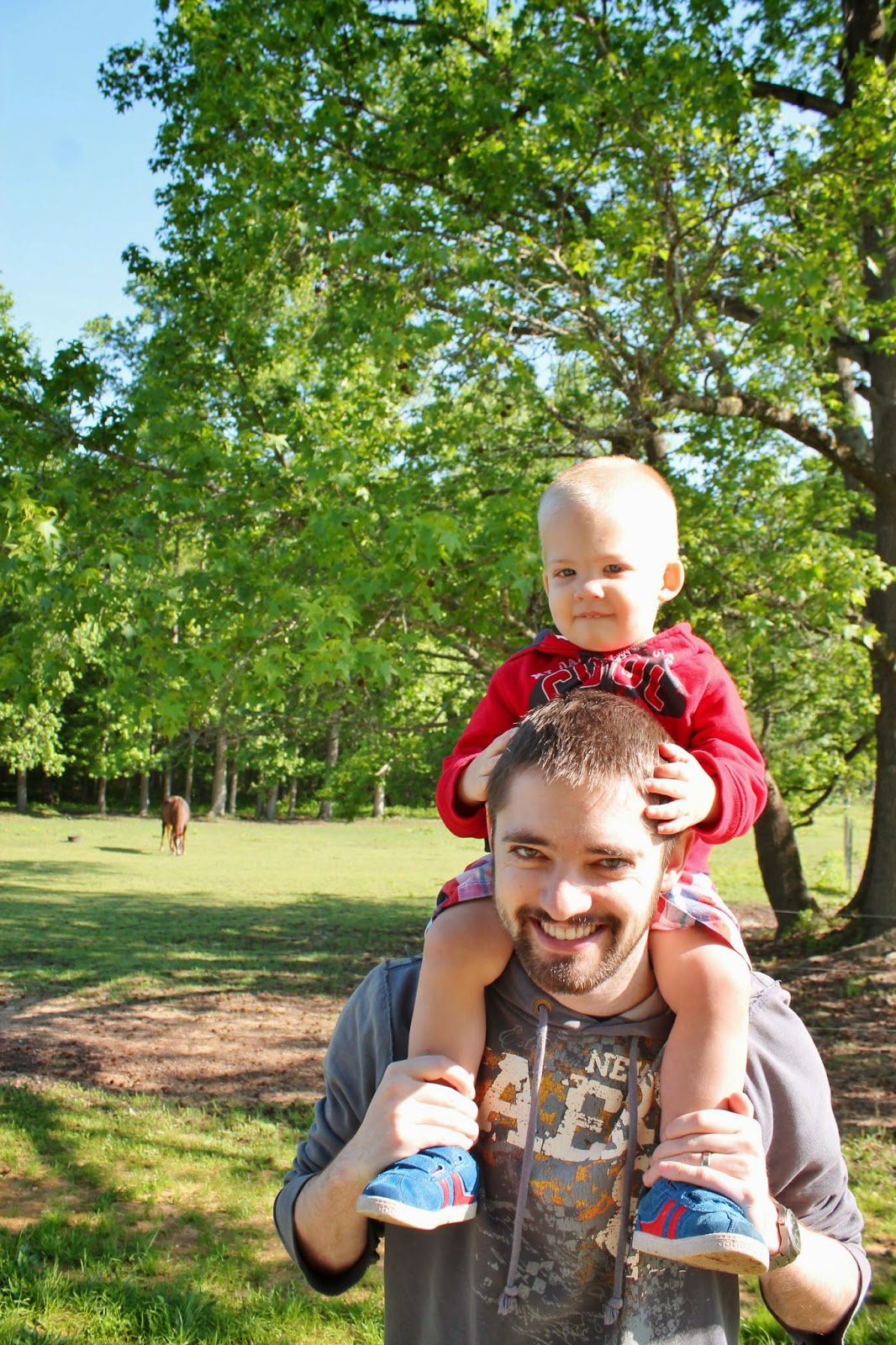Buckwheat Farm, Apex NC The Happy Flammily