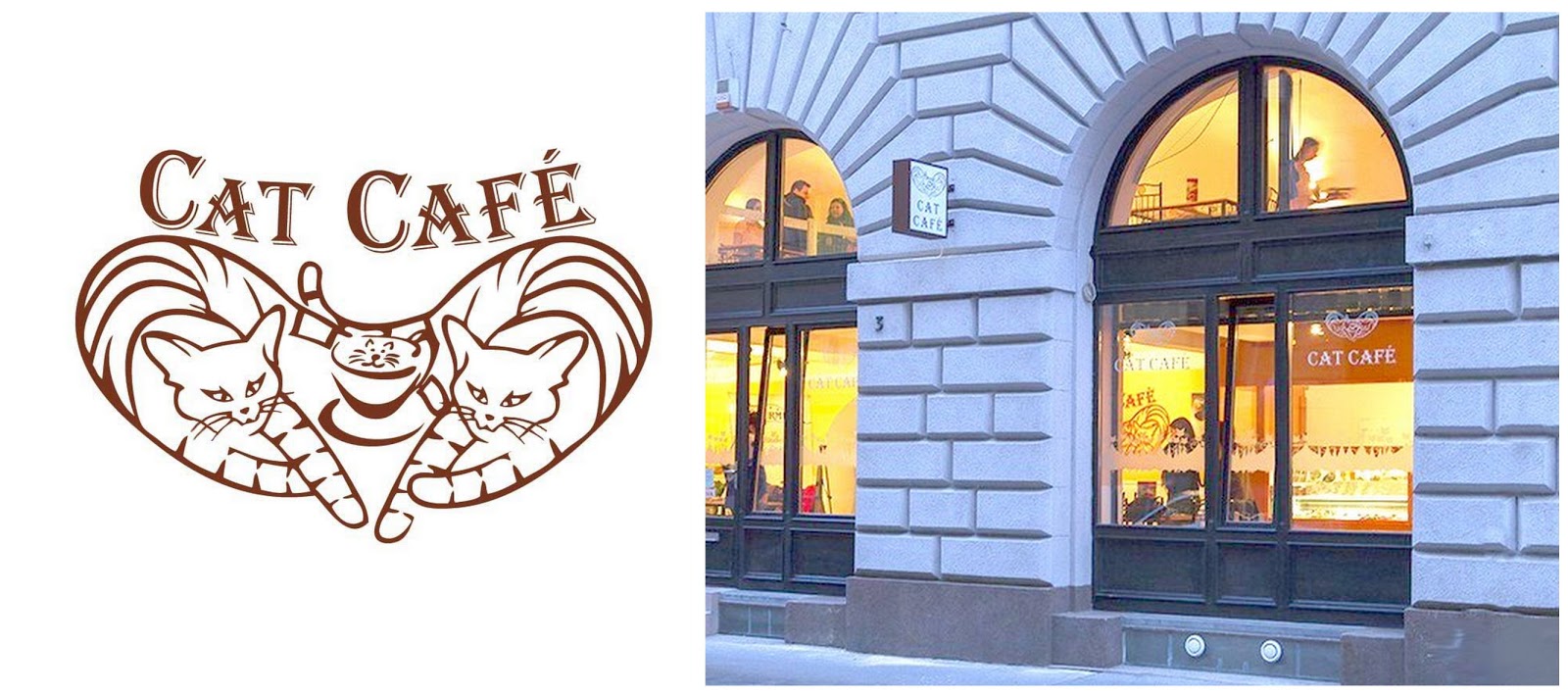 Sünis kanál: Cat Café Budapest – egy cicás nap a fővárosban
