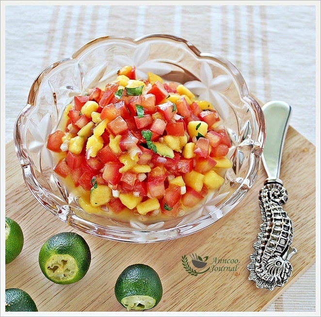 Mango Tomato Salsa 芒果番茄莎莎酱 Anncoo Journal