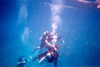 A shot I took while diving in the Great Barrier Reef.