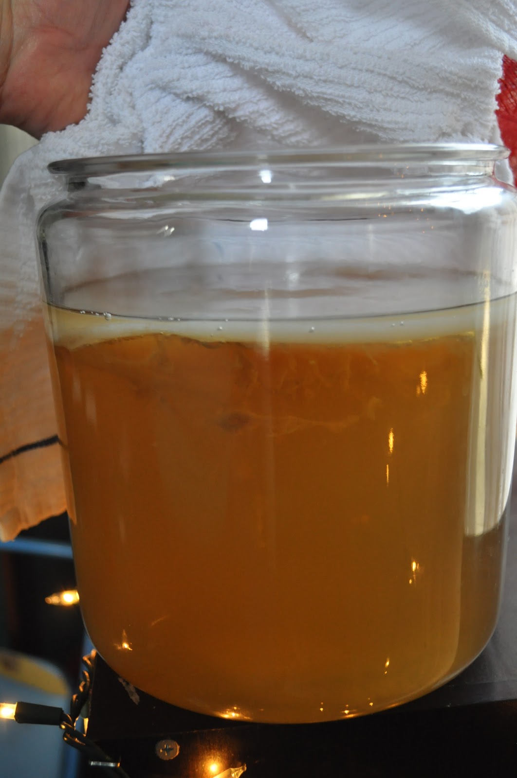 Natural and Organic Lifestyle I'm brewing kombucha!