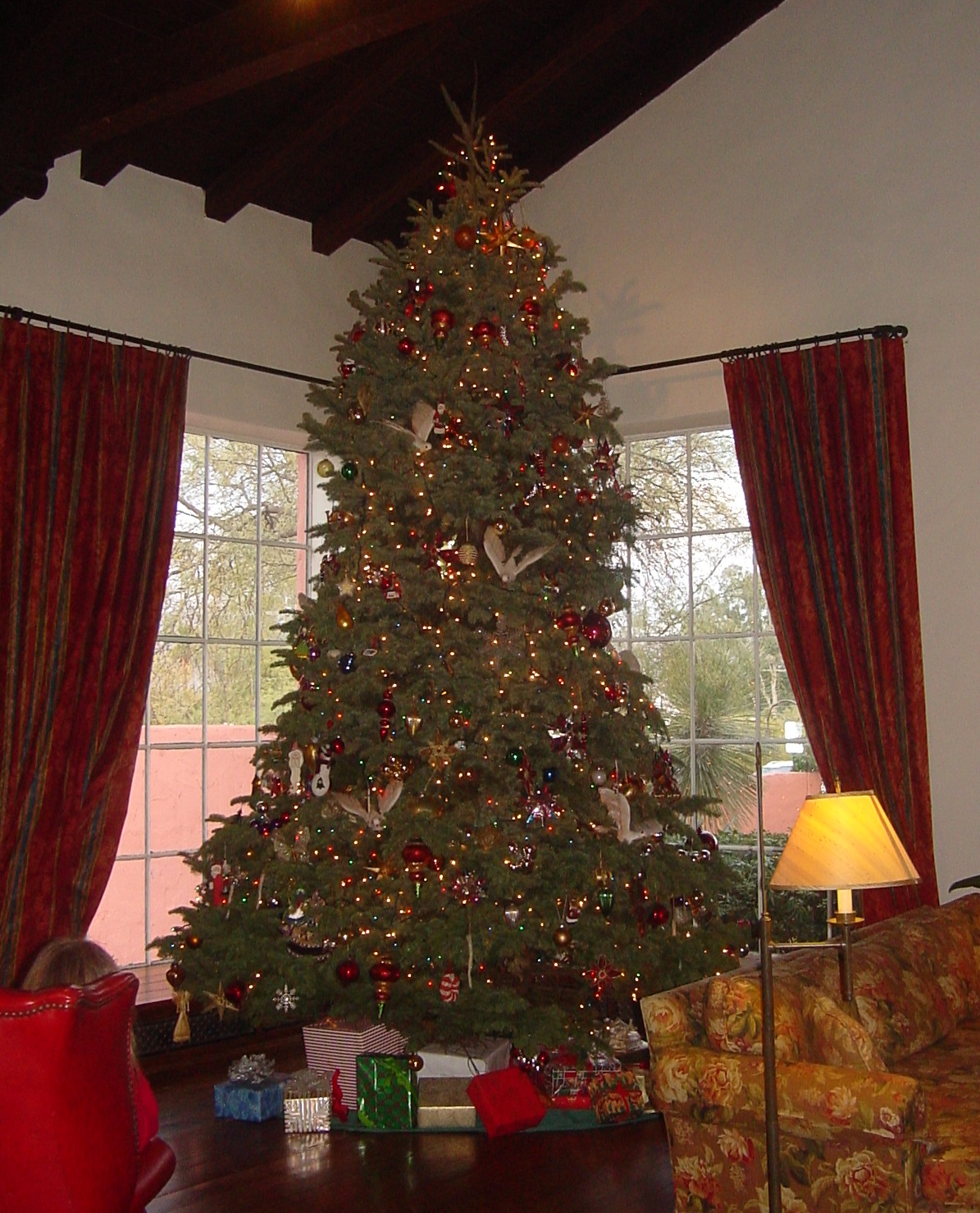 Tucson Daily Photo Ah....THE Tucson Christmas tree!