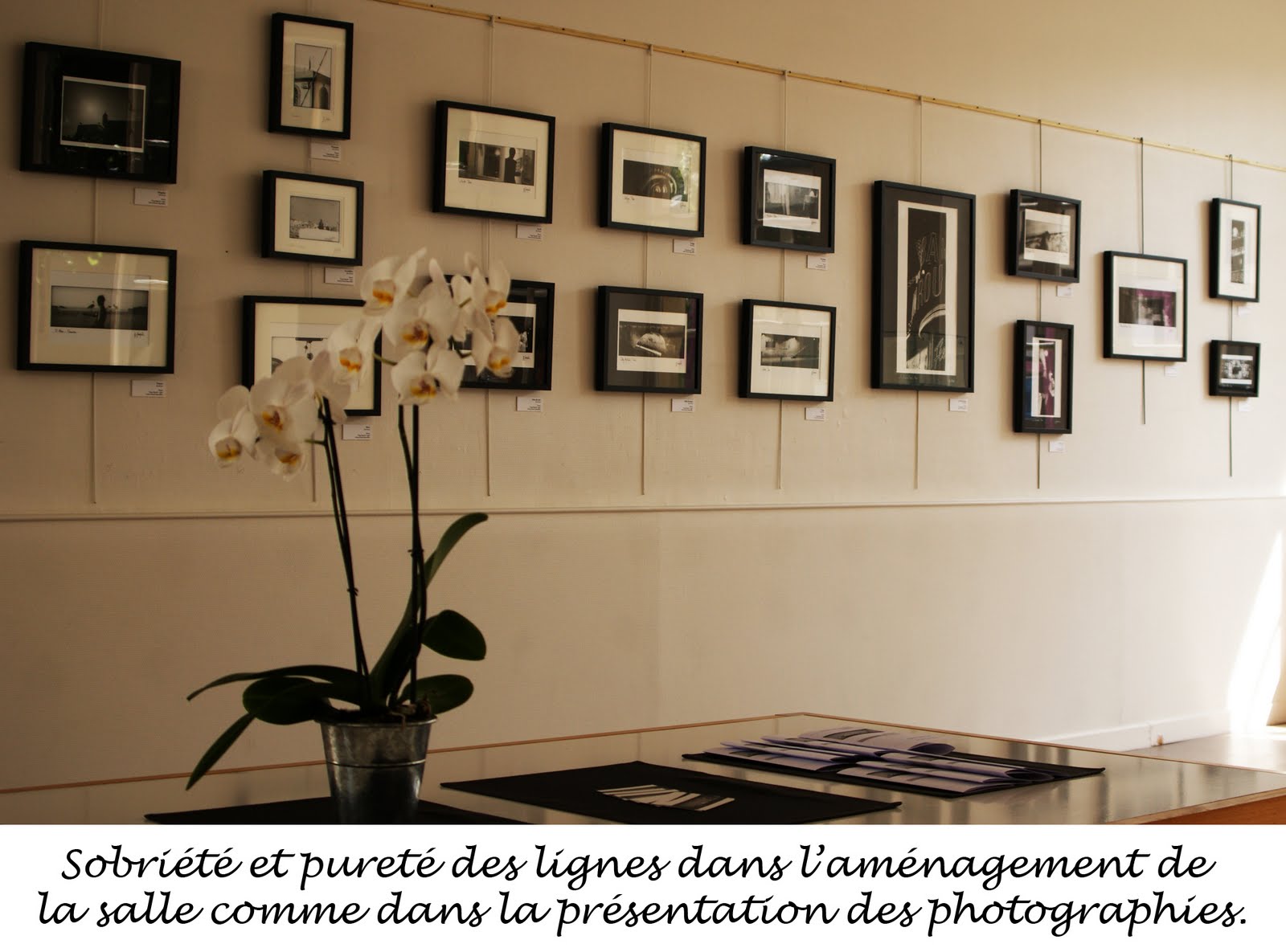 rencontre assurance affinitaire