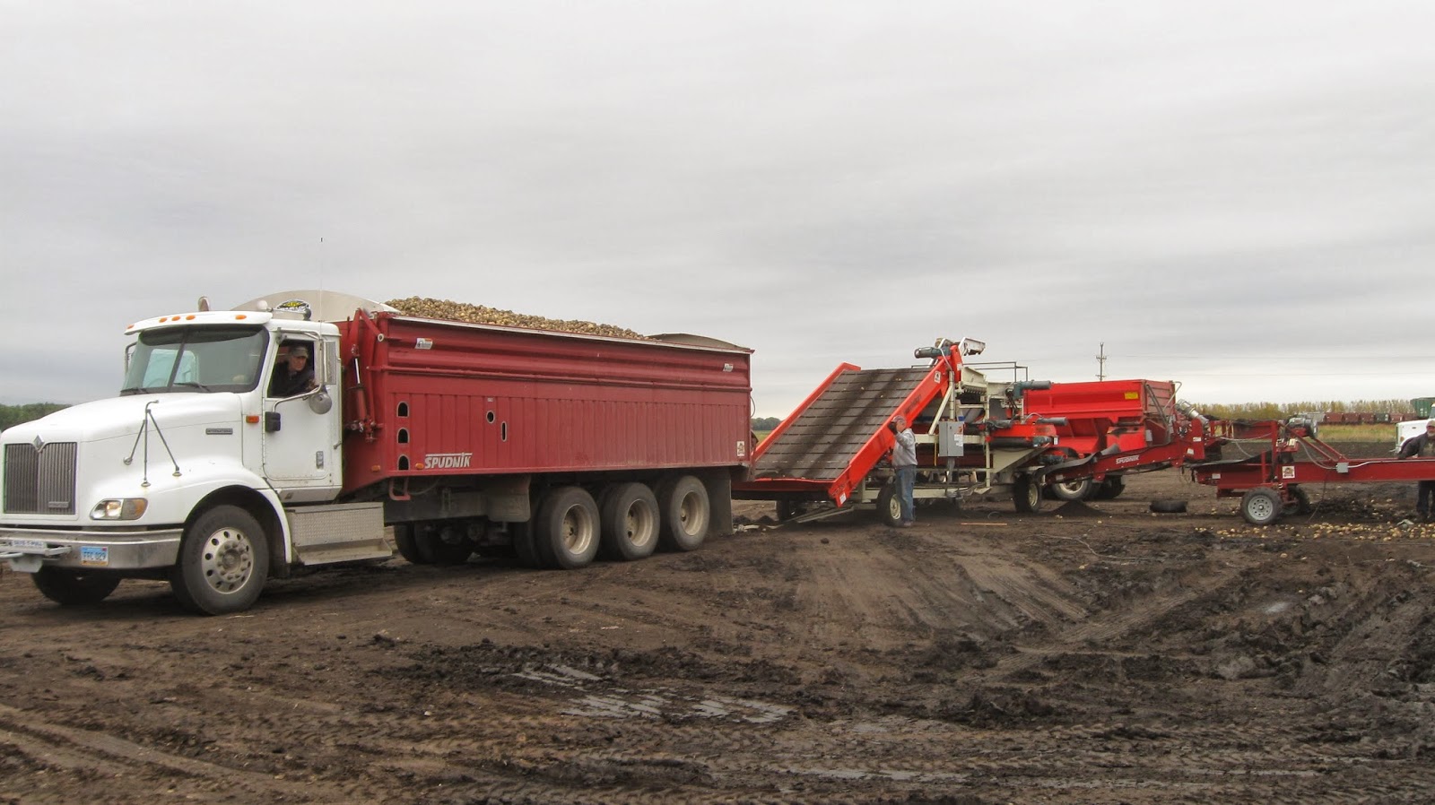 troutbirder North Dakota Potatoes