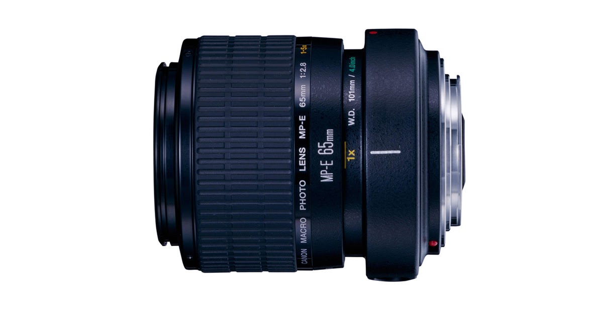 Canon MP-E 65mm f/2.8 1-5x Macro Photo Lens Features & Technical Specs