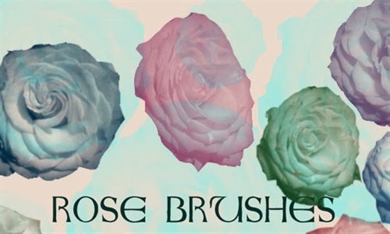 Photoshop Rose Brushes Photoshop Rose Brushes