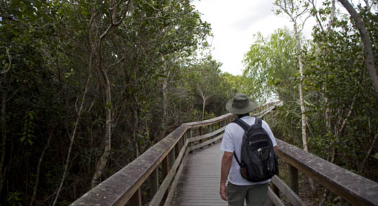 Walking On A Crack In The Pavement