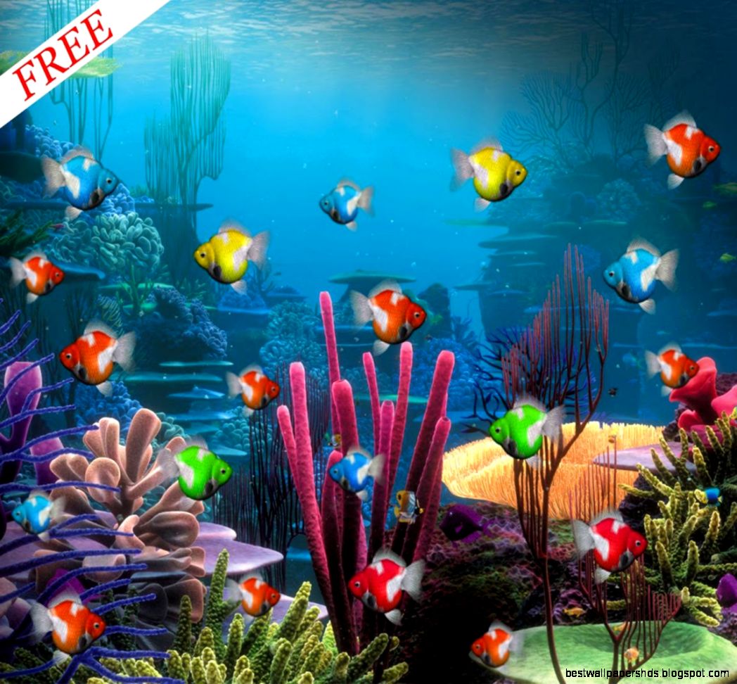 Aquarium Live Wallpaper for PC WallpaperSafari Aquarium Live Wallpaper for PC WallpaperSafari