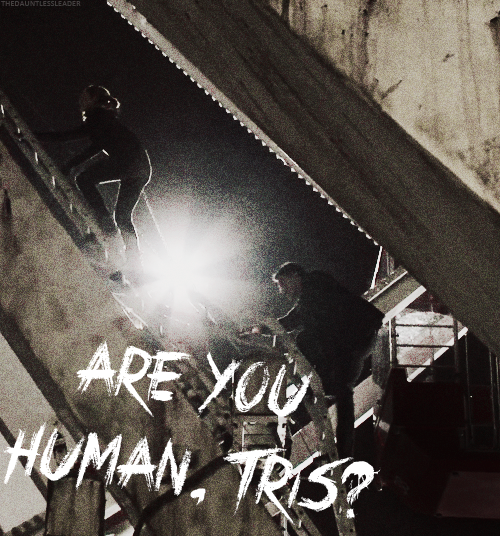 Are you human, Tris?