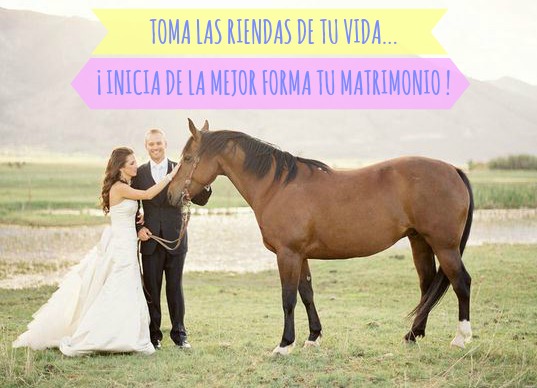 Raquel Cabalga Wedding Coaching blog Mi Boda Gratis coach asistido por caballos