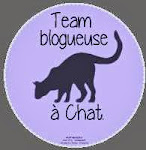 Team Blogueuse à chat