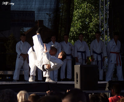 Demonstratie karate MIKADO Covasna