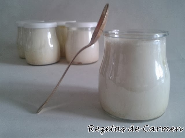 Utensilios De Cocina La Yogurtera