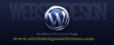 wordpress Theme  design