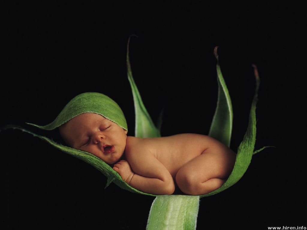 baby-sleeping-on-the-leaf.jpg